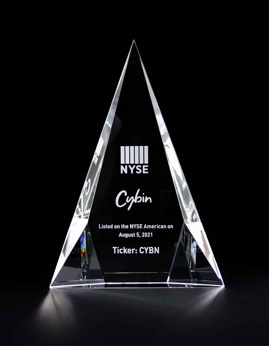Modern Innovation crystal deal toy featuring custom corporate M&A engraving
