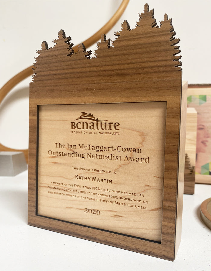 Custom Sunwood Financial Tombstone - Financial Tombstones & Deal Toys by Eclipse Awards