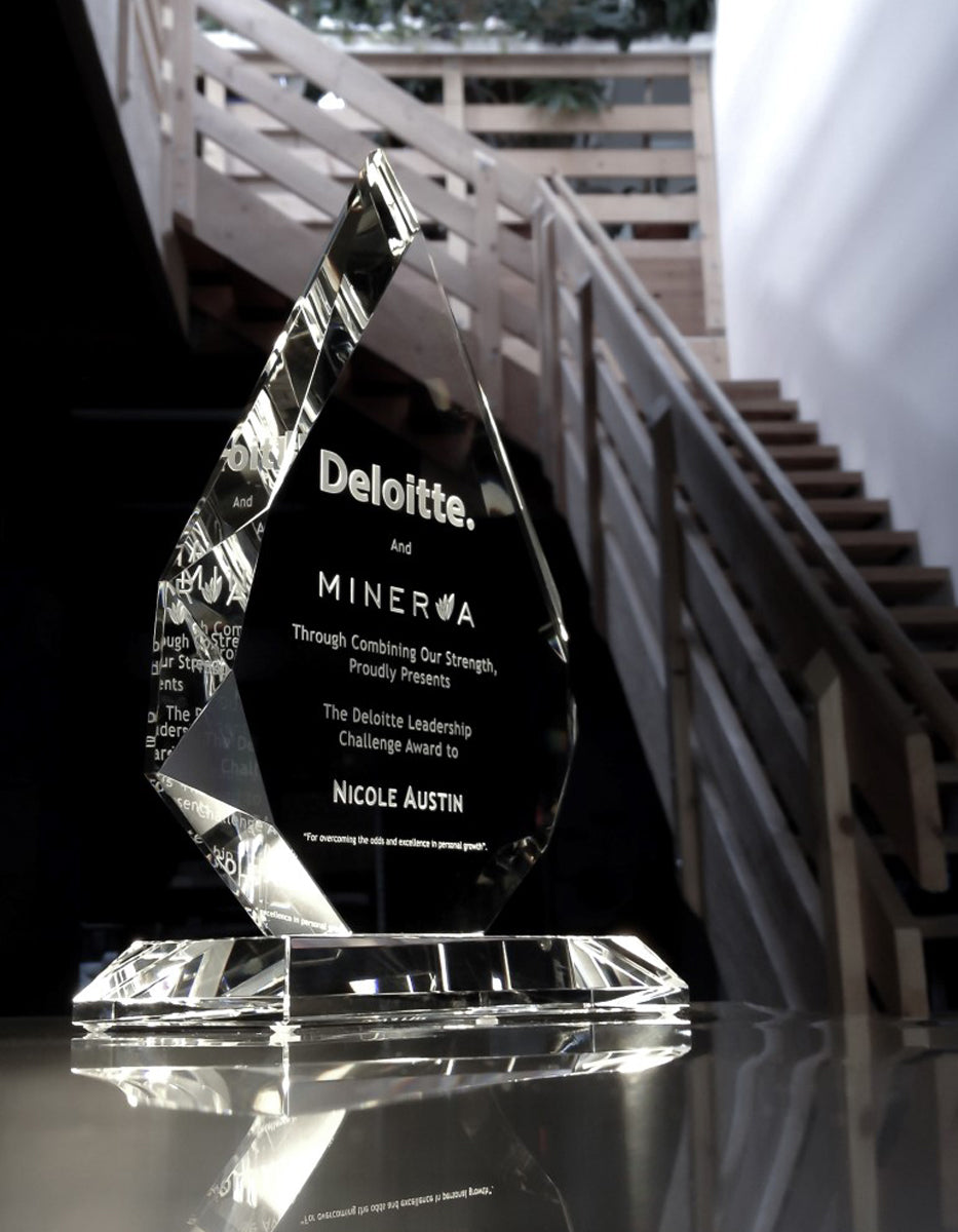 Crystal Royal Diamond Tombstone Awards - Financial Tombstones & Deal Toys by Eclipse Awards